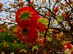 20070309 19.jpg